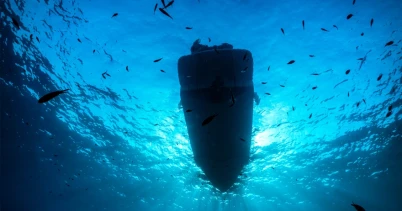 
						Carénage bateau : les risques des peintures antifouling